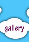 the gallery button
